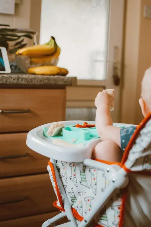 baby led weaning blw